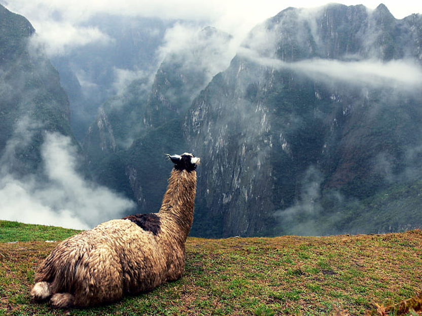 Cusco Imperial